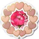 Pyttelite